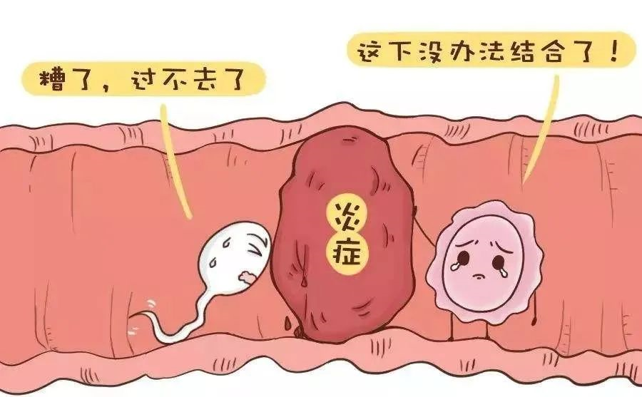 借卵代生子[广州传承助孕可信],九江市试管婴儿_关于试管婴儿的具体流程你不