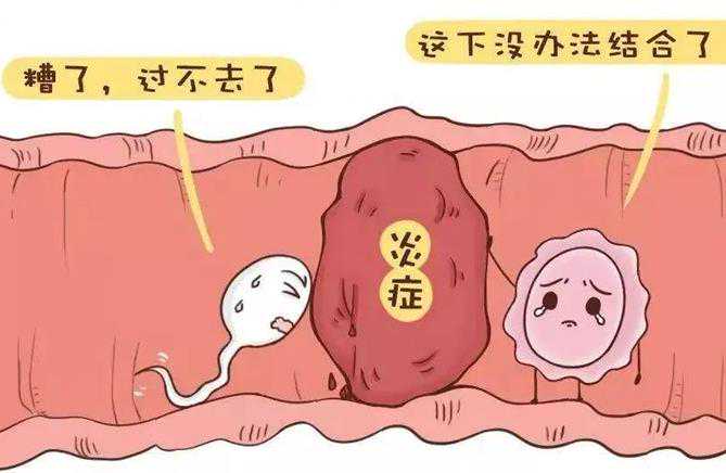 不孕症专家[上海助孕优贝贝电话],2023年张家口有三代试管婴儿私立医院吗？