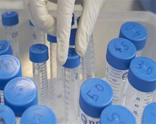 北京试管代怀公司,北京试管公司,蒸蒸日上