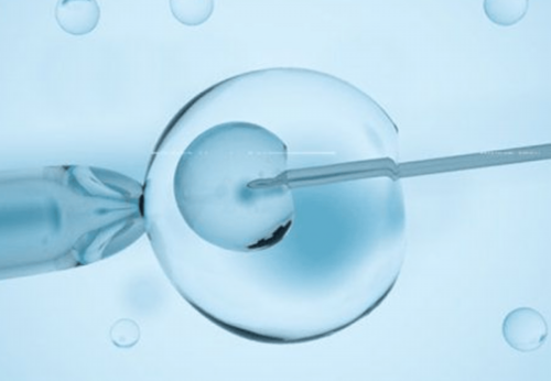 北京试管代孕哪家好,北京三代试管套餐，北京试管婴儿过程