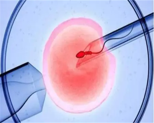 北京代生孩子经历,北京三代试管婴儿可以选男孩吗，北京试管哪里好