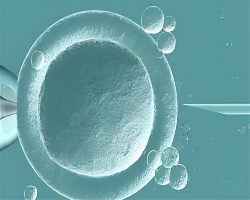 怀孕晚期可以吃南瓜吗,供卵代生