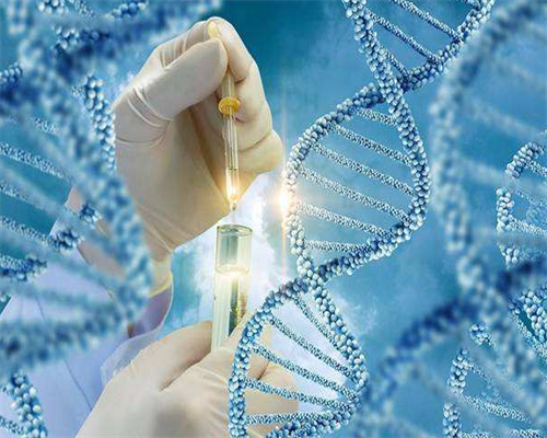 北京试管代孕哪最好,北京正规试管公司,北京试管婴儿合法吗