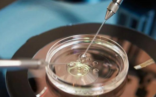 北京咨询代孕专家,2026北京协和医院供卵试管多少钱？附北京供卵试管费用一览