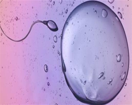 北京代孕公司哪家大,2026北京协和医院供卵试管多少钱？附北京供卵试管费用一