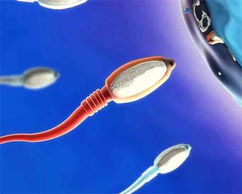 北京高龄借卵价格,北京三代试管包成功_北京三代试管攻略