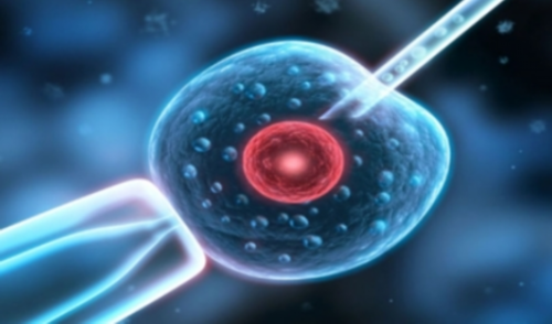 北京广西代孕网,试管婴儿北京医院排名最好？北京十大医院排名第一？