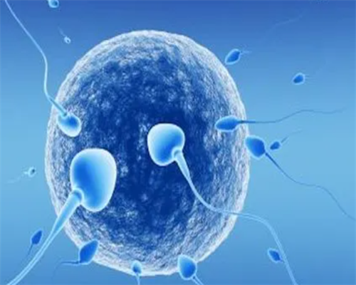 北京试管代孕医院网址,北京人工授精和试管价格