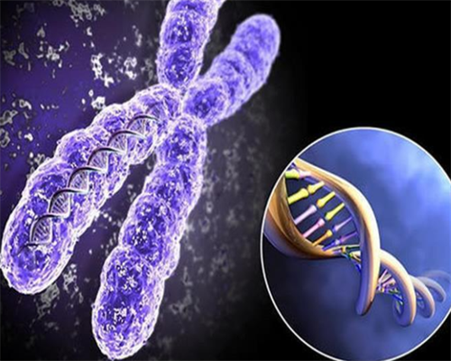 北京代生孩子中介|天津供卵试管（北京捐卵中心）