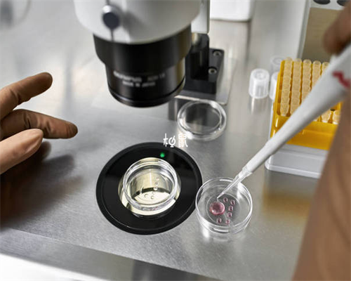 做泰国试管婴儿前男方注意事项是什么?,助孕生男孩