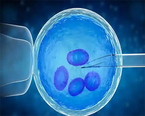 北京借卵自怀流程,北京产后修复哪家好?北京产后修复价格和电话是多少?