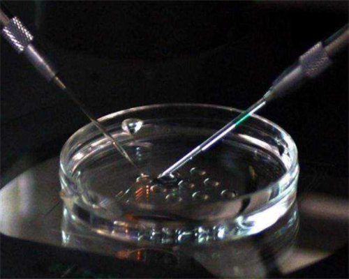 北京助孕公,北京三代供卵代孕包男孩靠谱吗