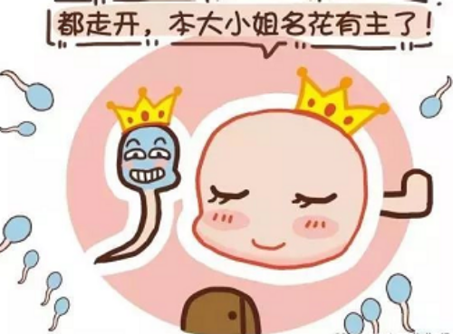 找到人捐卵[广州金贝试管],石家庄供卵试管医院哪家好附供卵试管婴儿费用