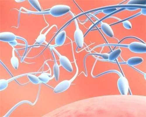 北京借卵试管成功,2026北京做第三代试管婴儿需要多少钱？附北京三代试管费用