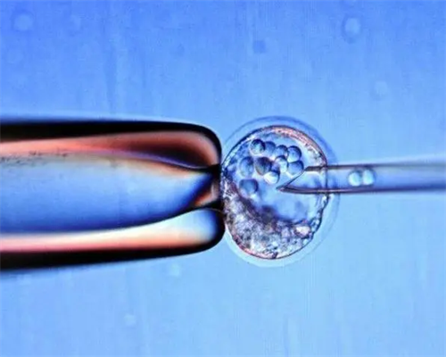 怀孕初期后半夜总醒,试管供卵借卵