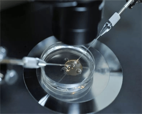 北京试管代怀孕,北京供卵中介真相，聊城供卵