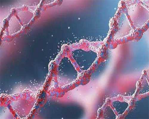 北京供卵助孕费用,北京试管中心