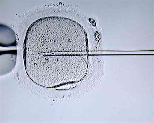 北京权威助孕机构,北京妇产医院试管费用明细