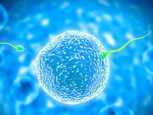 北京试管代怀价钱,北京协和医院供卵试管多少钱？北京协和医院供卵试管多少