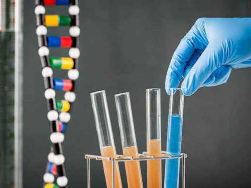 北京代孕网多少钱,北京妇产医院有没有卵子库,2026北京妇产医院*试管*男孩条