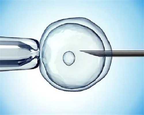 北京查精子的成活率