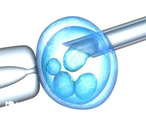 北京自供精卵代孕,北京精子库医院可以做供精试管婴儿吗？附北京供精试管医