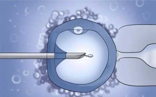 北京代孕网医院,北京供卵试管生男孩包成功费用,2026年已更新|北京供卵生殖