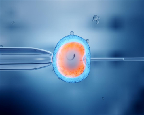 广州传承生殖医学违法[供卵医院在哪里],太原供卵中介（杭州试管包男孩）