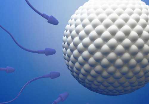 <strong>北京女子为女儿代怀,北京做试管包成功</strong>