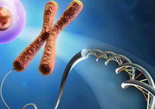 北京三代试管婴儿医院排名!十万能不能做!