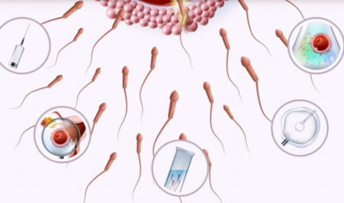 乳期乳房刺痛全身发冷的原因哺乳期乳房刺痛全身发冷,供卵包生男孩