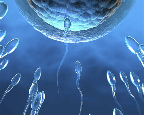 北京306医院做试管婴儿费用多少!北京301做试管婴儿成功率高吗!