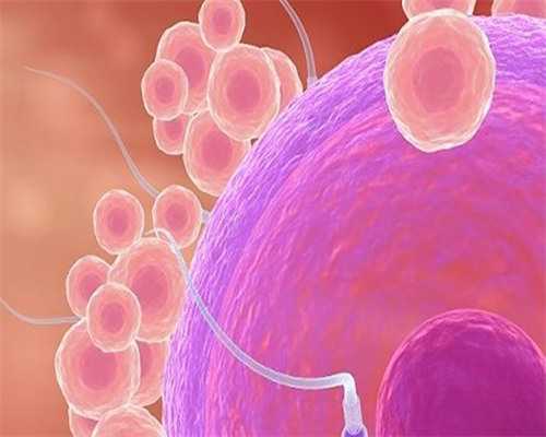 北京借卵中心,北京私立供卵试管医院有哪些?北京试管费用报销比例流程是怎