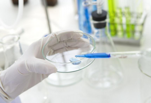 北京代生女儿|北京朝阳医院做供精试管费用是多少？北京朝阳医院供精试管流