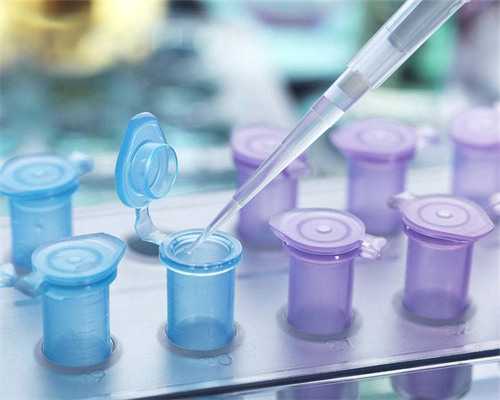 北京代怀网哪家好,北京供卵机构机构,北京协和供卵需要排队多久