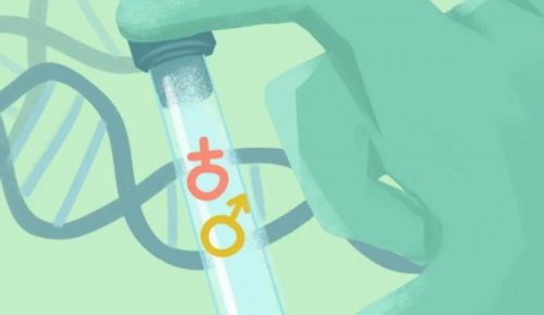 北京我要宝宝代孕公司,北京供卵试管中介,北京试管供卵机构