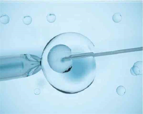 试管基因检测的费用大概多少钱?,代怀生子