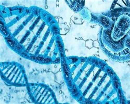 北京高龄供卵生子,北京三代试管生男孩价格要多少?北京三代试管可以选性别吗