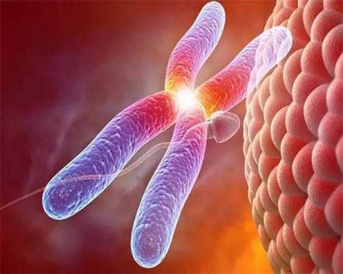 十月宝贝官网[接受供卵条件],北京助孕公司试管生男孩排名