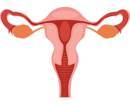 北京代生套餐介绍,北京公立供卵价格，2026年已更新|北京公立有几家