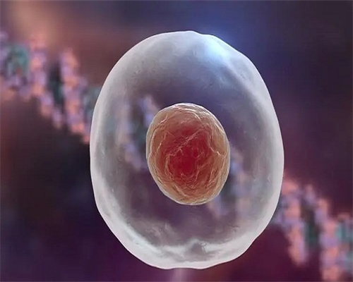 北京地区试管婴儿费用报销政策新了吗？纳入医保了吗？