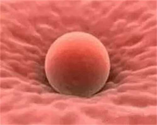 北京试管代孕哪家最好,北京合法试管中心有哪些