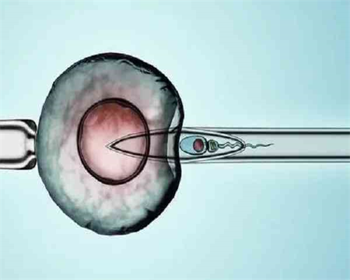 北京做试管婴儿费用一次要多少钱，实际预算参考！