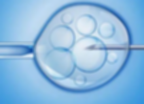 hcg与孕酮有什么关系,代怀生子男孩