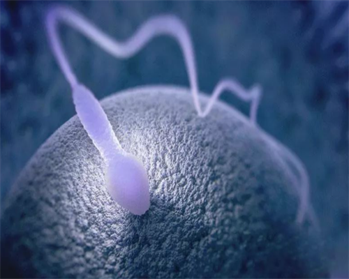 北京西苑医院薛赛琴医生看多囊卵巢怎么样？,试管代孕机构