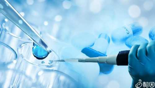 北京医院收卵子吗,北京第三代试管成功率