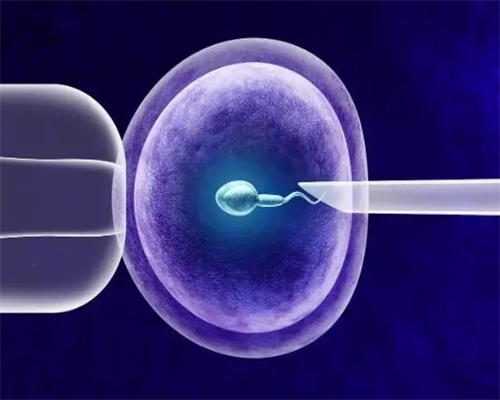 北京代孕网哪家靠谱,北京三代试管包男孩费用