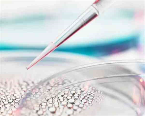 北京助孕哪个好,北京私立供卵代孕机构收费明细