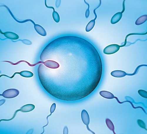 北京失独再生养家庭|2026北京可以做供卵试管婴儿的私立医院有哪些?附北京供