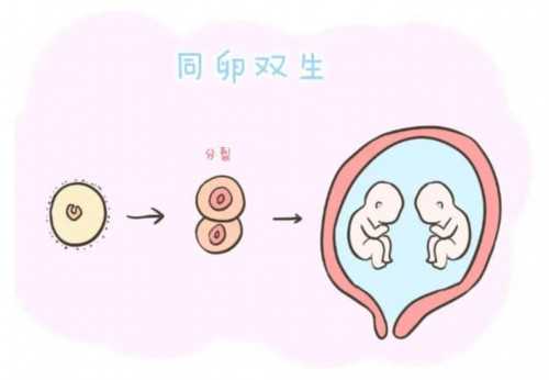 北京有供卵代孕公司吗,北京有几个人类精子库,北京精子库医院有几家